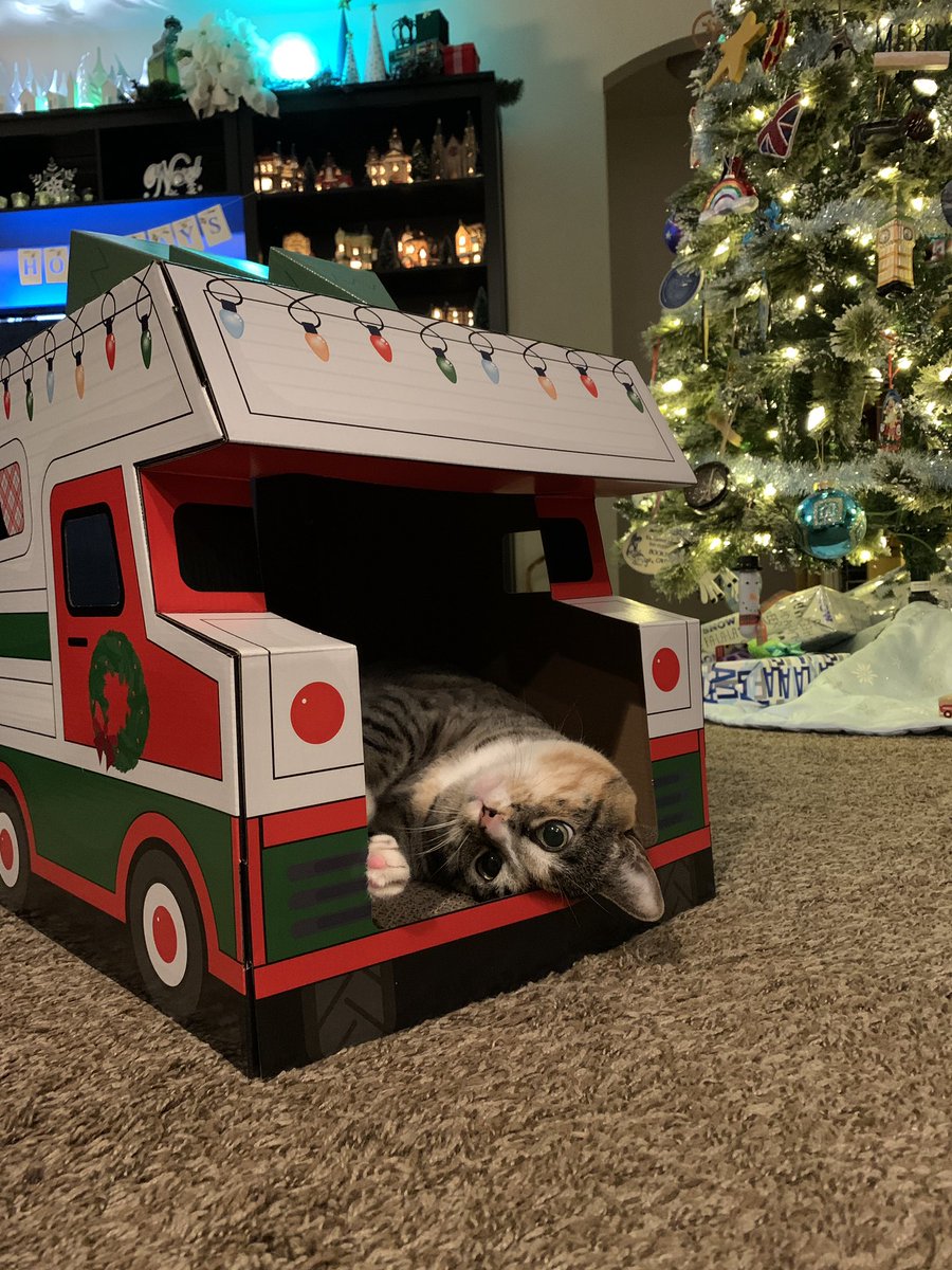 bolyard's tweet photo. This is the photo on my Christmas card. I hope people aren’t disappointed Zora isn’t holding a gun. https://t.co/CjOz8vvYJ1