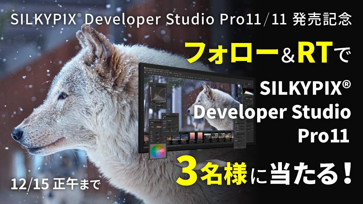 silkypix_web's tweet photo. ＼新たな画像処理技術で今までにない解像感を。✨／
RAW現像ソフト『SILKYPIX Developer Studio Pro11/11』発売記念‼

@silkypix_web をフォロー＆この投稿をリツイートで
抽選で３名様にPro11の新規ライセンスをプレゼント🎉
#SILKYPIXPro11発売記念 #写真 #RAW現像 #写真編集ソフト #フォローRT https://t.co/bLJmIAWwxE