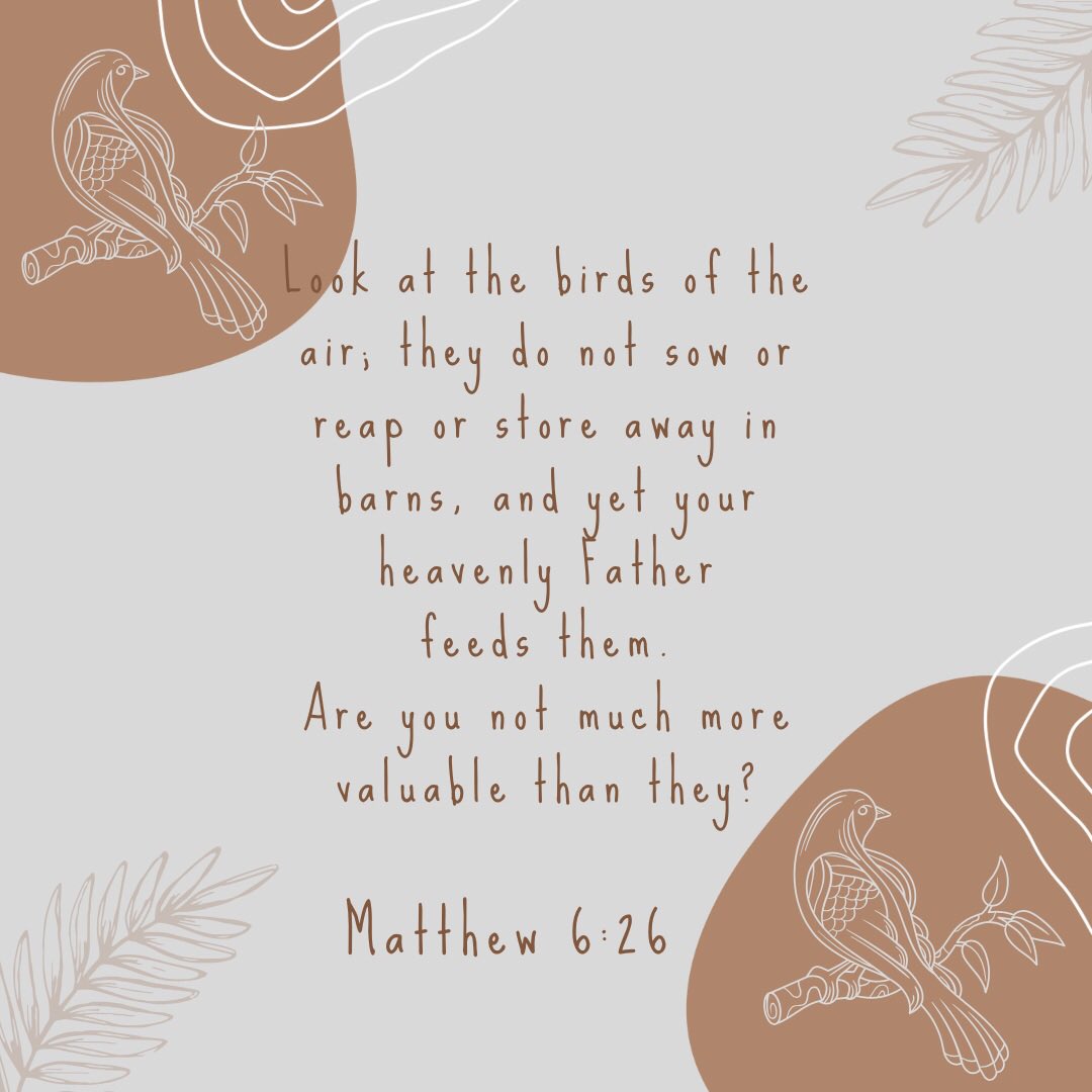 MaureenAtv's tweet photo. Look at the birds of the air, for they neither sow nor reap nor gather into barns; yet your heavenly Father feeds them. Are you not of more value than they? | Matthew 6:26 NKJV
•
•
•
#trust #value #wordforwinners https://t.co/8MHdUO5jGF