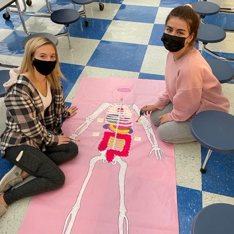 CTE_HuntHS's tweet photo. Look at Kailey B. and Chloe D. reviewing for their exam in Mrs. Hendricks Health Science I class. They drew the body to demonstrate their knowledge of organ placement. @WilsonSchoolsNC @Hunt_High_NC @CTEforNC https://t.co/5QWrJA8V7L