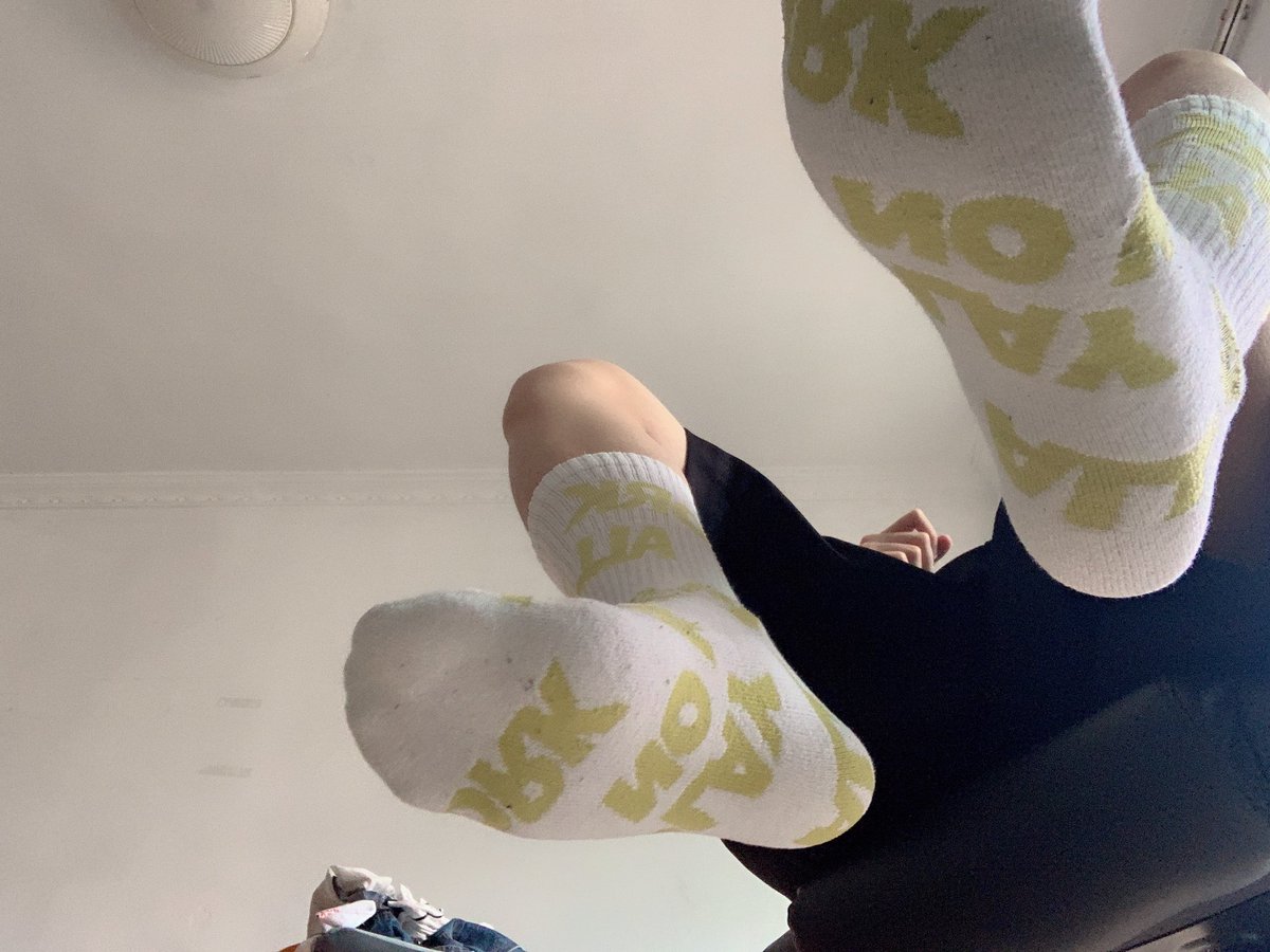 ringo-ringo76793505-twitter