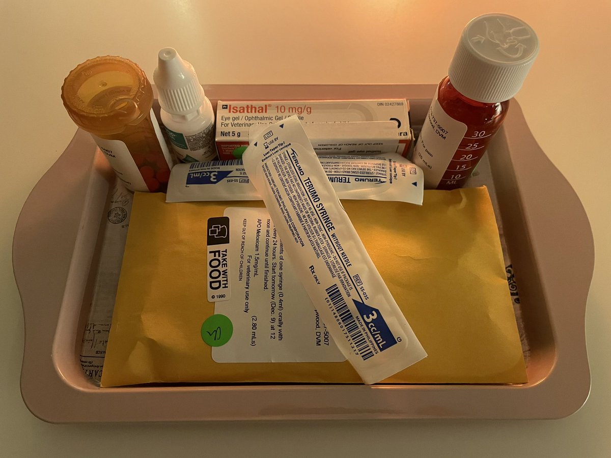 Emily Hashimoto-Roth (@em_hashimoto) | Twitter