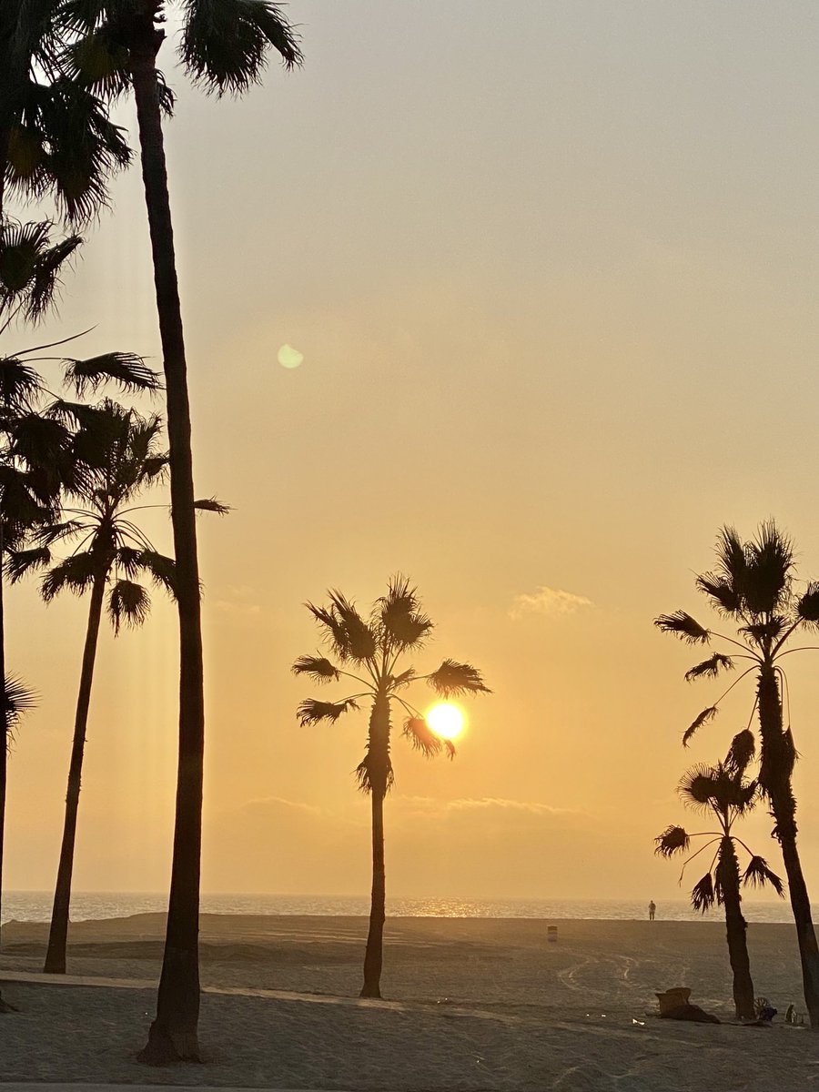 Eric_Mabius tweet media