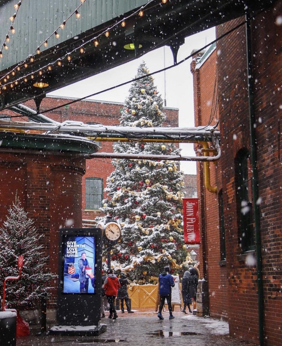 DistilleryTO's tweet photo. We can’t get over this year’s enormous Christmas Tree. 🎄😍 Make sure to pass by and see it #IRL. We are sure you’ll love it as much as we do! ❤️

📸: @travelmowgly https://t.co/uiPGJya7Dh