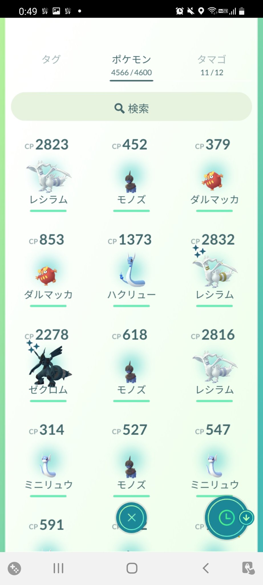 Oka Pokego Hiroshima De O K Twitter