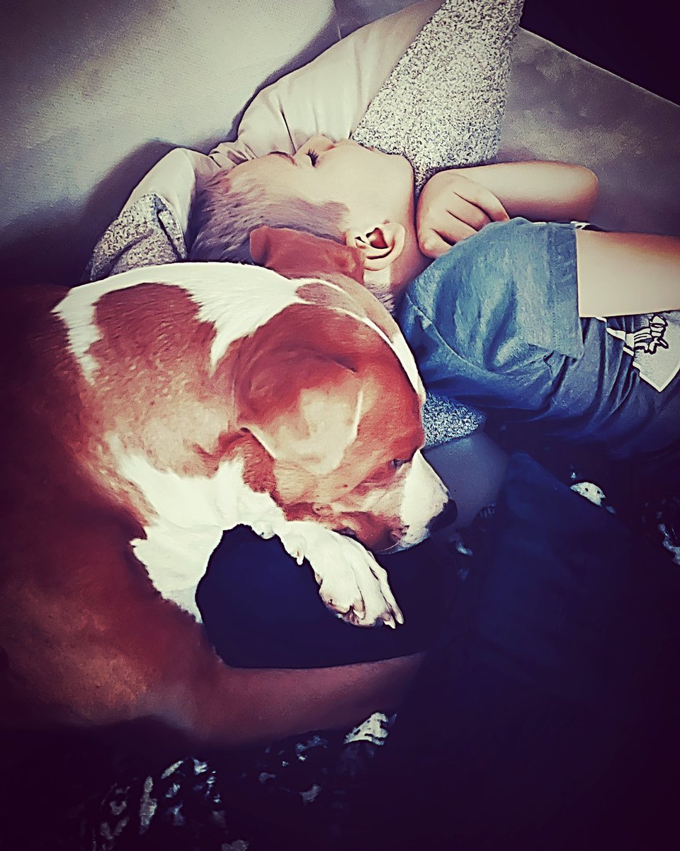 The_Shit_CRae's tweet photo. Sheβs always got her boys back! π€ #showmeyourpitties #nannadug #myaprilbabies #twooutofthree https://t.co/feZugK57W7