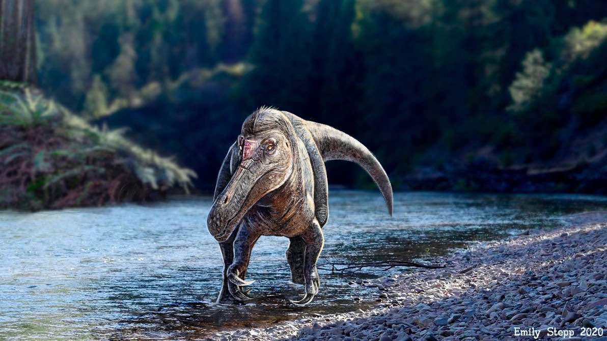 EJR_Paleo_MSc's tweet photo. Introducing the spinosaurids for #Theropodacember, starting off with #Baryonyx (“heavy claw”), a spinosaurid from Europe. Art by @Emily_Art. https://t.co/CvNRHmDUGB