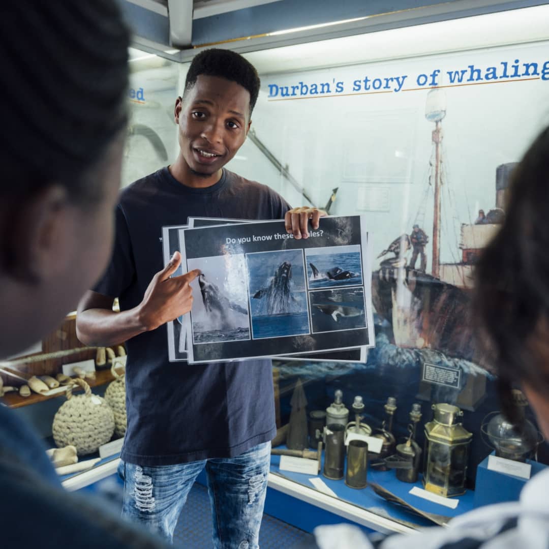 WildoceansSA tweet media