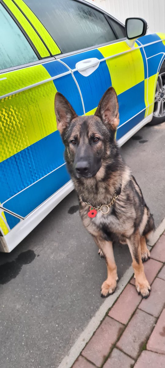 NorthantsPolice's tweet photo. Catching criminals at 8am.

Vogue cover shoot at 9.... https://t.co/8wgo4VNkX9
