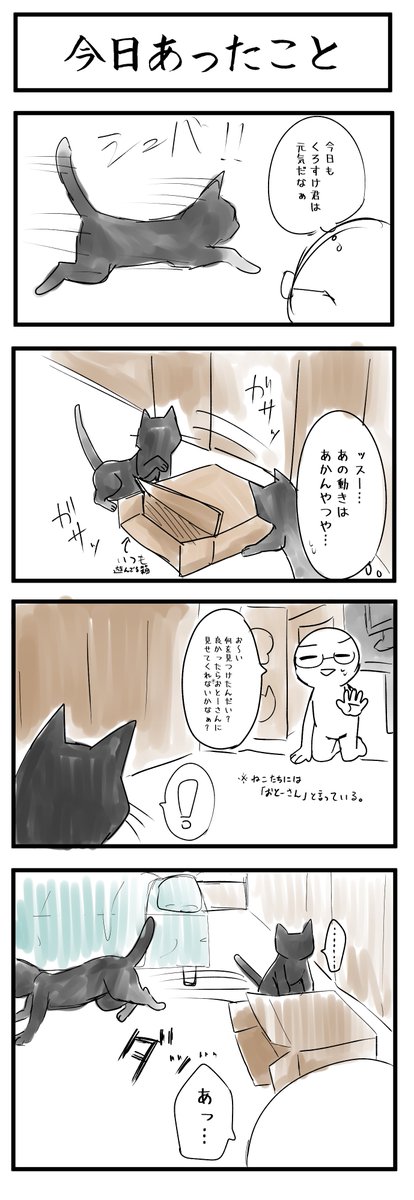 つい1時間半前にあったこと
子供と猫がいつもと違う動きしてたら
疑うべし 
