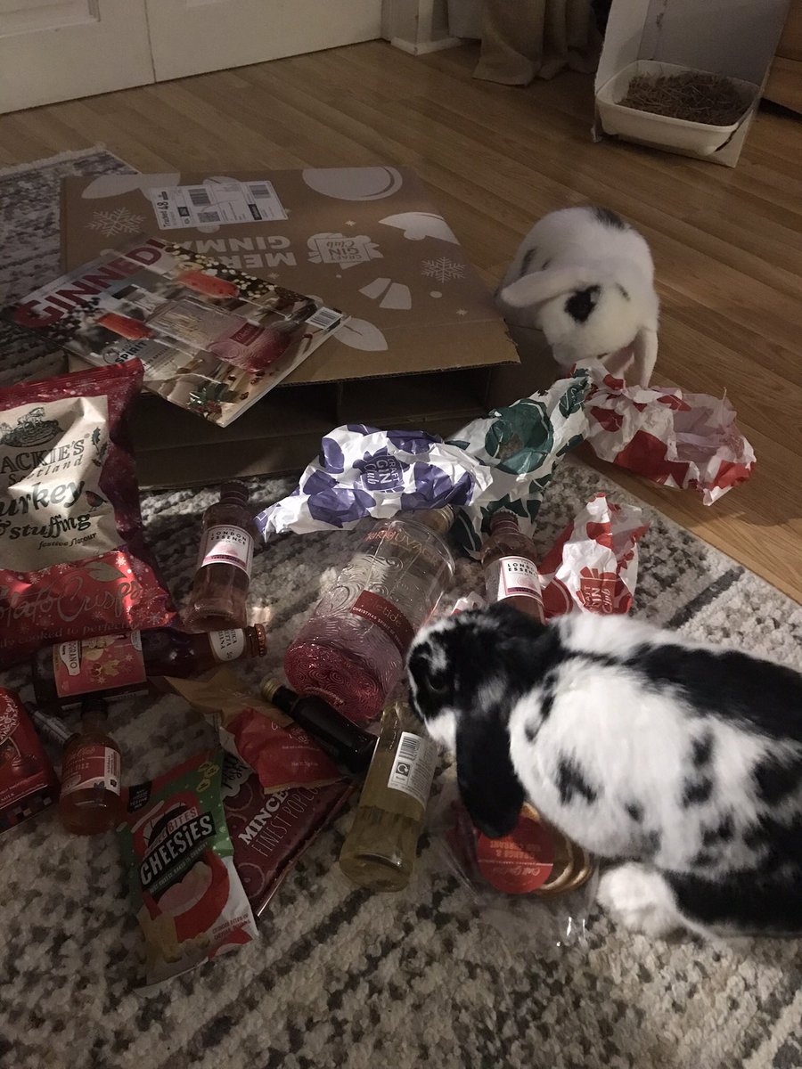 summer_ros3's tweet photo. Jim and Dwight made quite a mess helping me open my gin box for this month, I think they were more interested in the box than the gin though which is good for me! @craftginclub https://t.co/YQgHb7ASpo