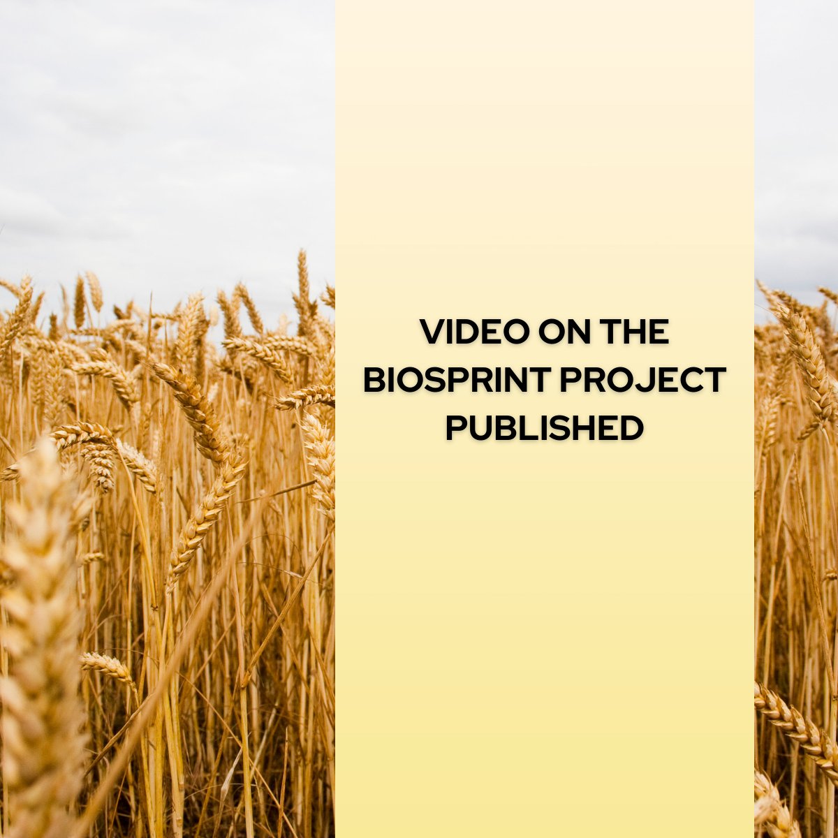 DECHEMA's tweet image. Biorefining of sugars via Process Intensification – Introduction of the #BioSPRINT project. 

The project (ow.ly/2XTv50H3WUW) explains their innovative ideas for enhancing the valorisation of the hemicellulose fractions: ow.ly/oMTJ50H3WUY