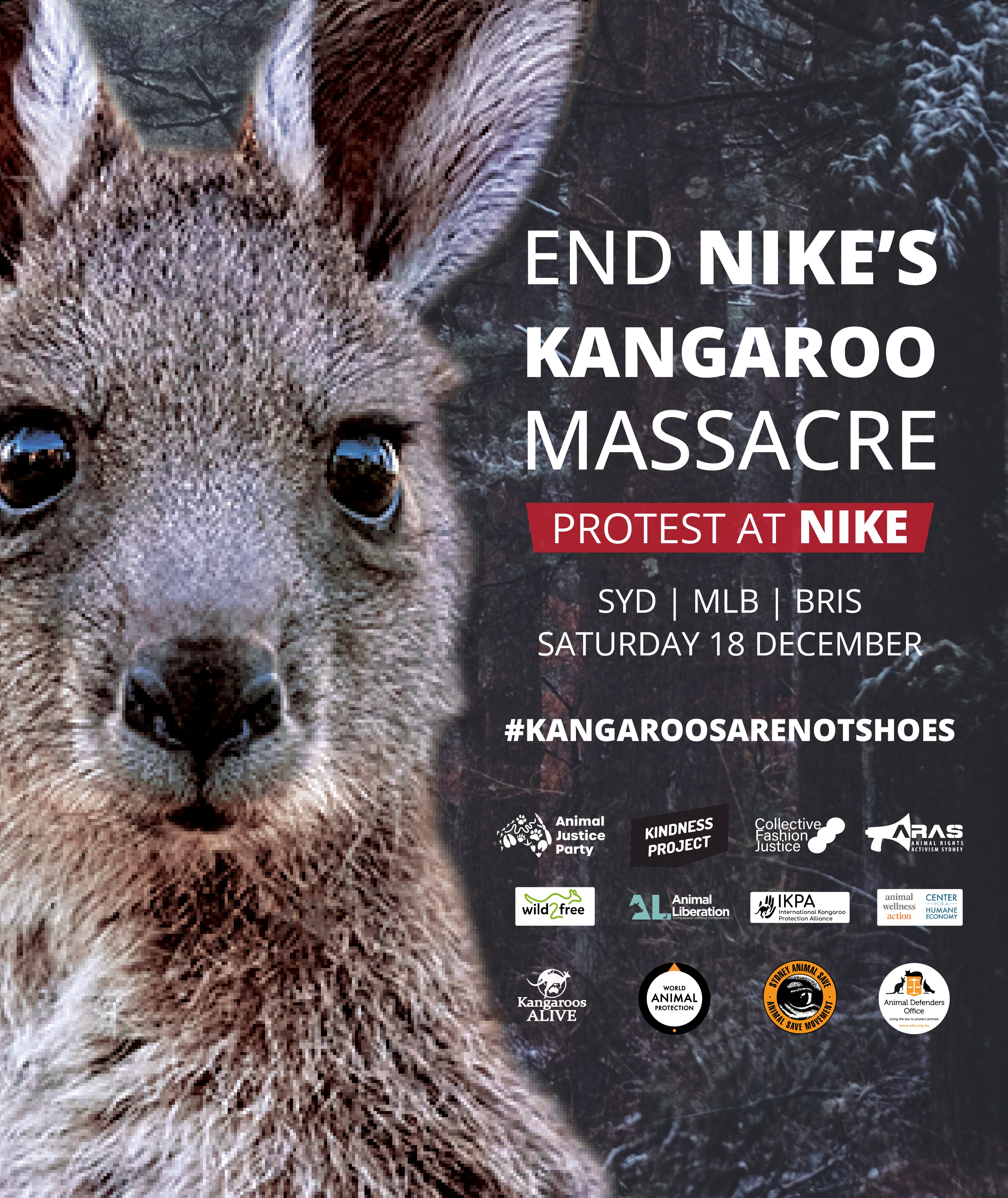 Animal Justice Party NSW on Twitter: "Protest at @Nike with us!⚡Their thirst for kangaroo leather is driving an unsustainable shooting across Australia. Join our MPs @MlcHurst and @MarkPearsonMP at NIKE Flagship