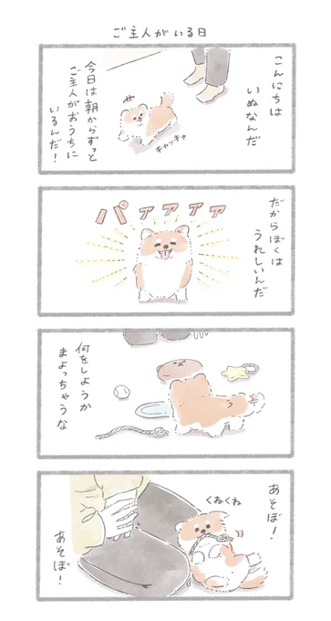 ご主人のいる日#こんにちはいぬです 