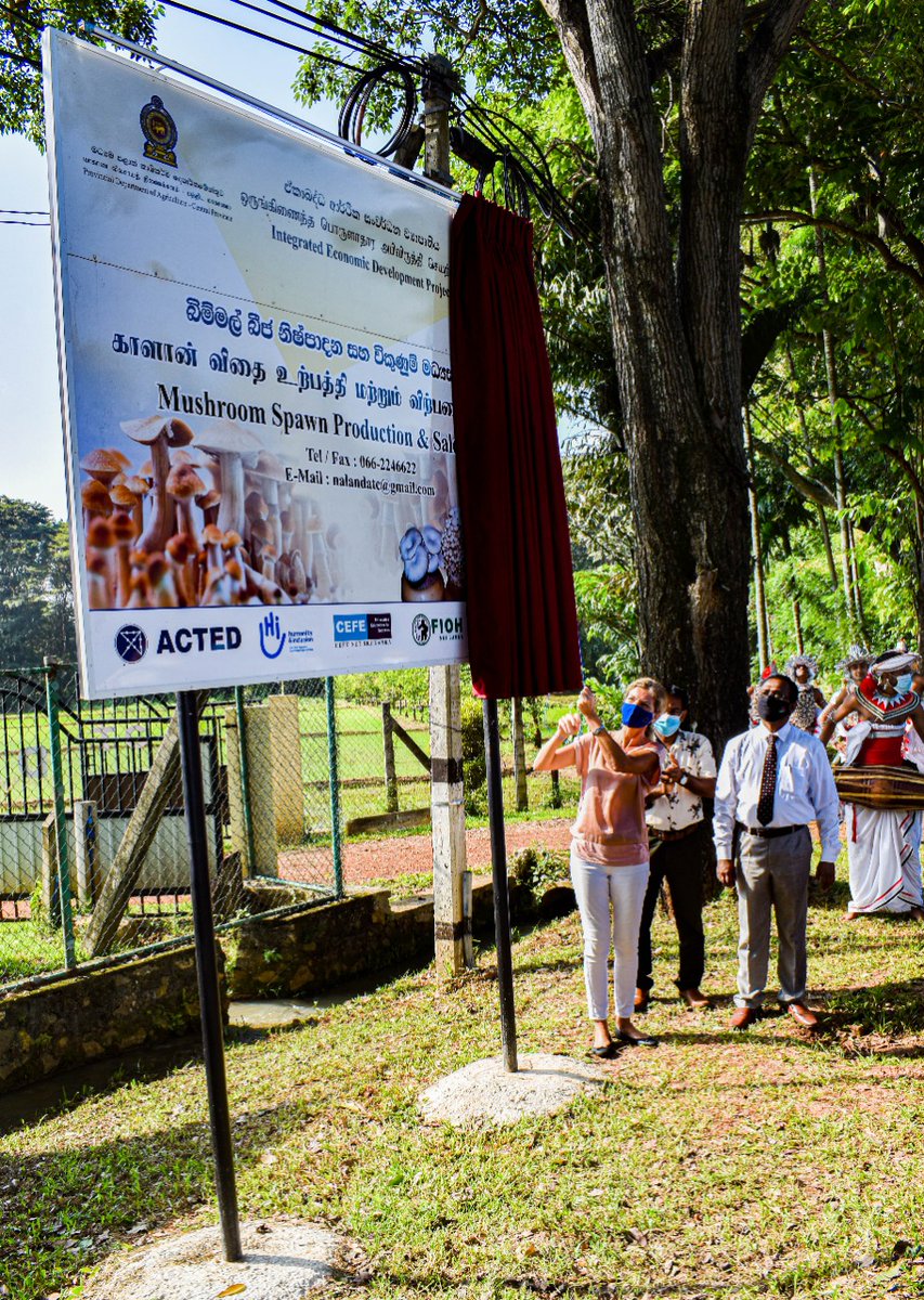 HI_INNESKA's tweet photo. Our colleagues at @HI_INNESKA know how to inaugurate a new business center. 🎉

We're glad to support 🇱🇰's agricultural development. Our team organized opening of the 🍄 Spawn Production &amp; Sales Center in Matale w/ support from @EU_in_Sri_Lanka's Integrated Economic Devt project. https://t.co/Ojhb1ltZGM