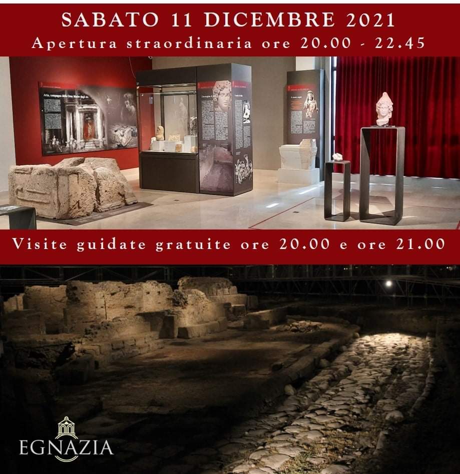 Museo Archeo Egnazia tweet media