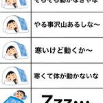 冬があまりにも寒すぎて．．．最近毎日これなはず‼