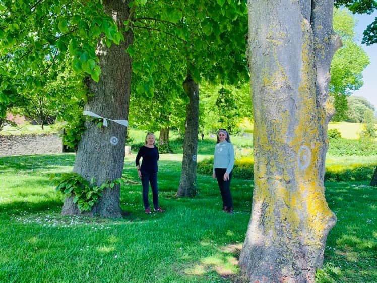 A PLEA: WE NEED NEW FOLLOWERS: Ards &amp; North Down Council are about to publish their planning application to fell 14 trees for a car park in Portaferry’s conservation area for a project we know nothing about &amp; isn’t agreed in our Village Plan. We need an army to oppose them. RT 🙏🏼