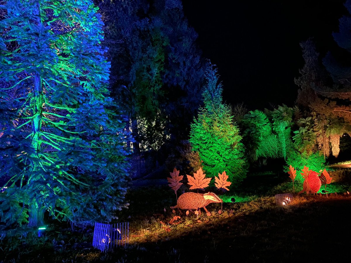 MatthewCPhotos's tweet photo. Christmas Lights at @NTKillerton Wonderful walk around the gardens with a beautiful array of lights and music - these are just four of the many photos taken #ChristmasLights #KillertonGardens #NTKillerton #Killerton #NationalTrust #ChristmasAtKillerton #KillertonHouse #Devon https://t.co/YtC2PGi7nx