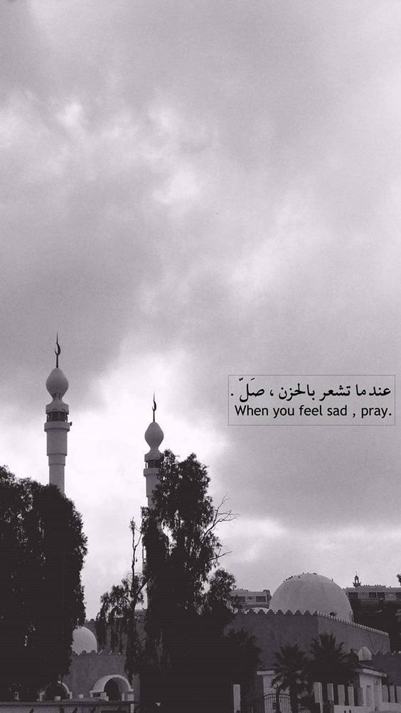 BeeniSh_Hon_bey's tweet photo. In the Name of Allah the m0st MerCiful & The m0st Benificient 😇
#Subba Bakhair https://t.co/CG8FZBgyru