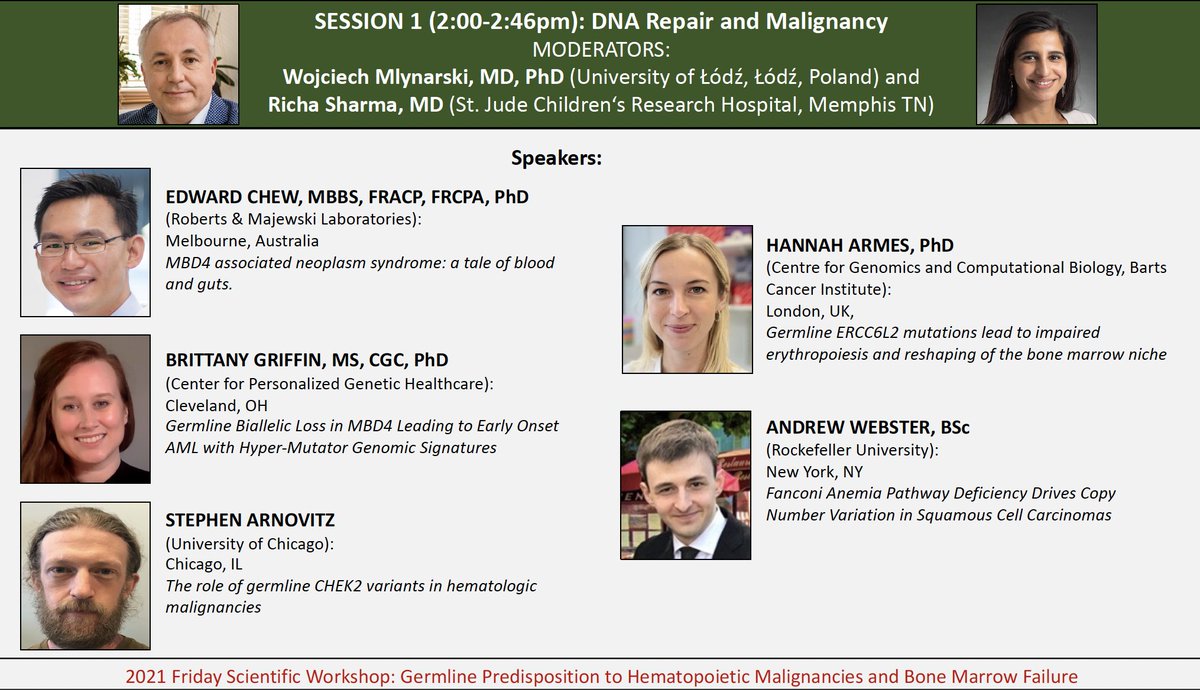 marrowgenes's tweet photo. To name a few contributors: @LabAgarwal @deesin10 @KMyersBMT @StJudeResearch @MaintainGenome @bloodgenes @sushreesahoo90 @tchlon @ClinGenResource  @anariomachin @sheisbritty @parvathy_venu  @senthilprime @KMyersBMT @cpkratz @deenaiskander 

Session 1 = DNA REPAIR AND MALIGNANCY: https://t.co/vLvcuqEhVu