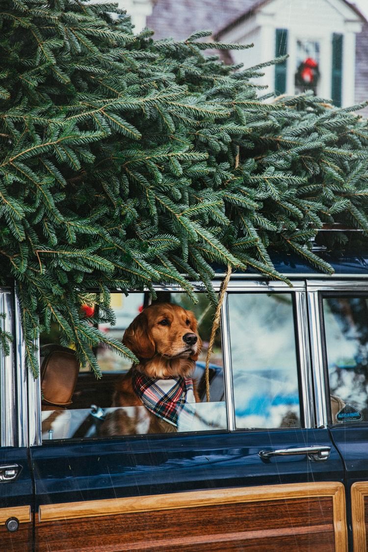 саша (@idkwaih) on Twitter photo 