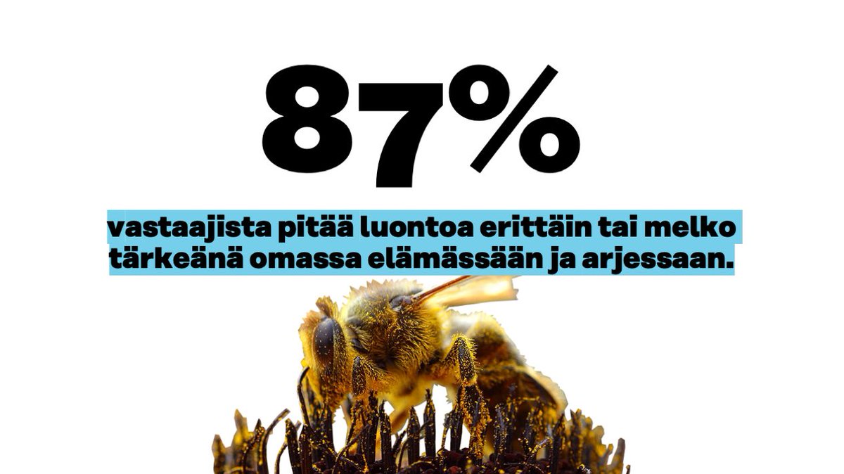 SitraFund's tweet photo. Kysely: Luonto on suomalaisille tärkeä🌲🦉🐝 

Lähes yhdeksän kymmenestä suomalaisesta pitää luontoa erittäin tai melko tärkeänä omassa elämässään ja arjessaan. Vain noin joka kymmenes (12 %) ei pidä luontoa tärkeänä. 1/6 #luontosuhde https://t.co/IOaFUObILs