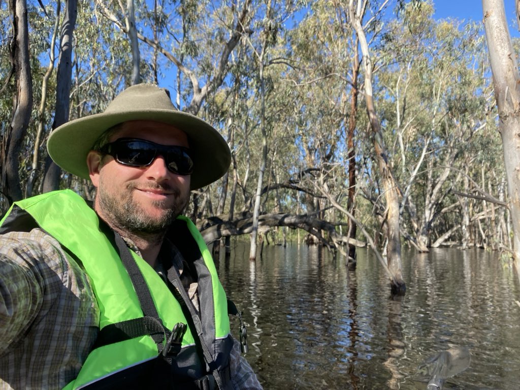 Plenty of nesting #waterbirds at Jo’s Lagoon near Booligal on the lower Lachlan River! #egrets #nightherrons #glossyibis #strawneckedibis #cormorants Great to see #water getting to where it is needed @nswenviromedia @theCEWH @riversnetwork @ADRN_rivers @MQEarthEnv @intlrivers