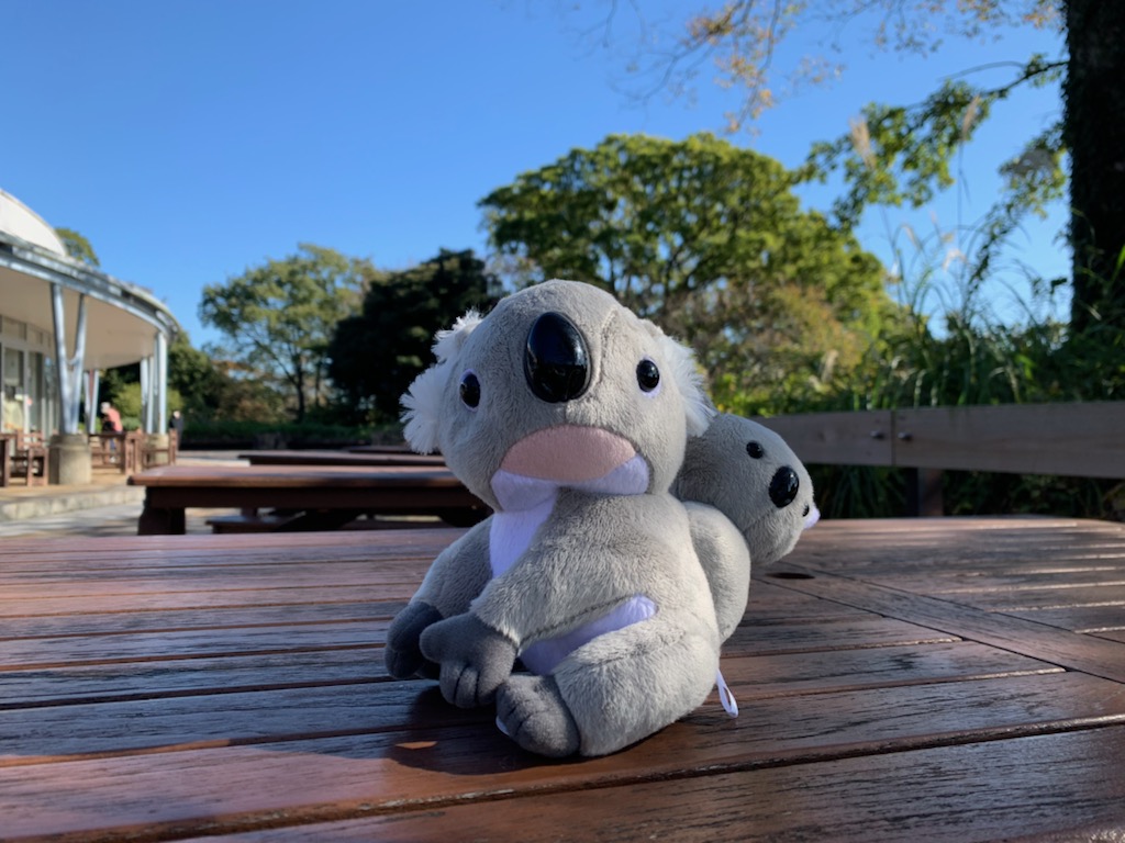 横浜市立金沢動物園【公式】 on X: 