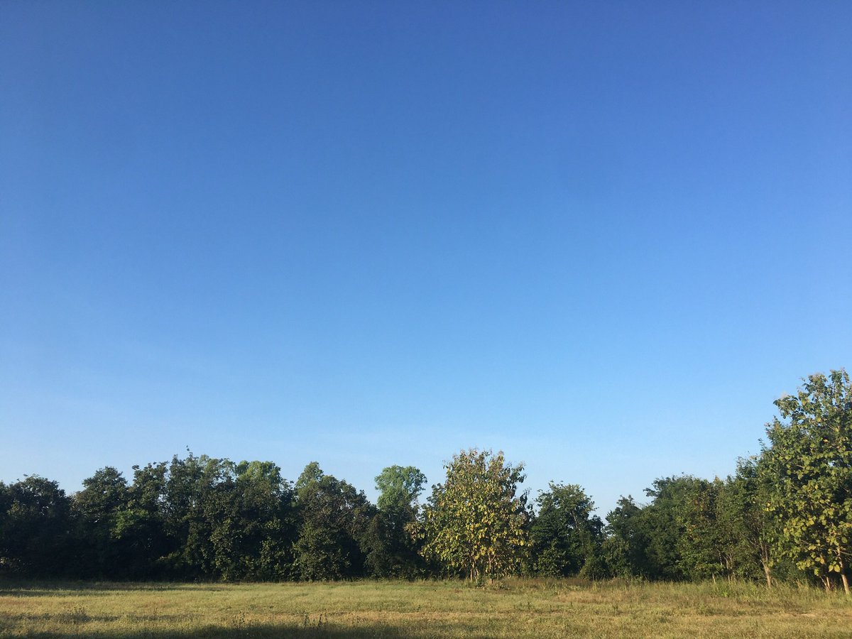 Theetha13's tweet image. #StanbaseTaylorSwift แจกความฝดใฝ กับท้องฟ้าที่ไม่มีเมฆกันค่าาาาา