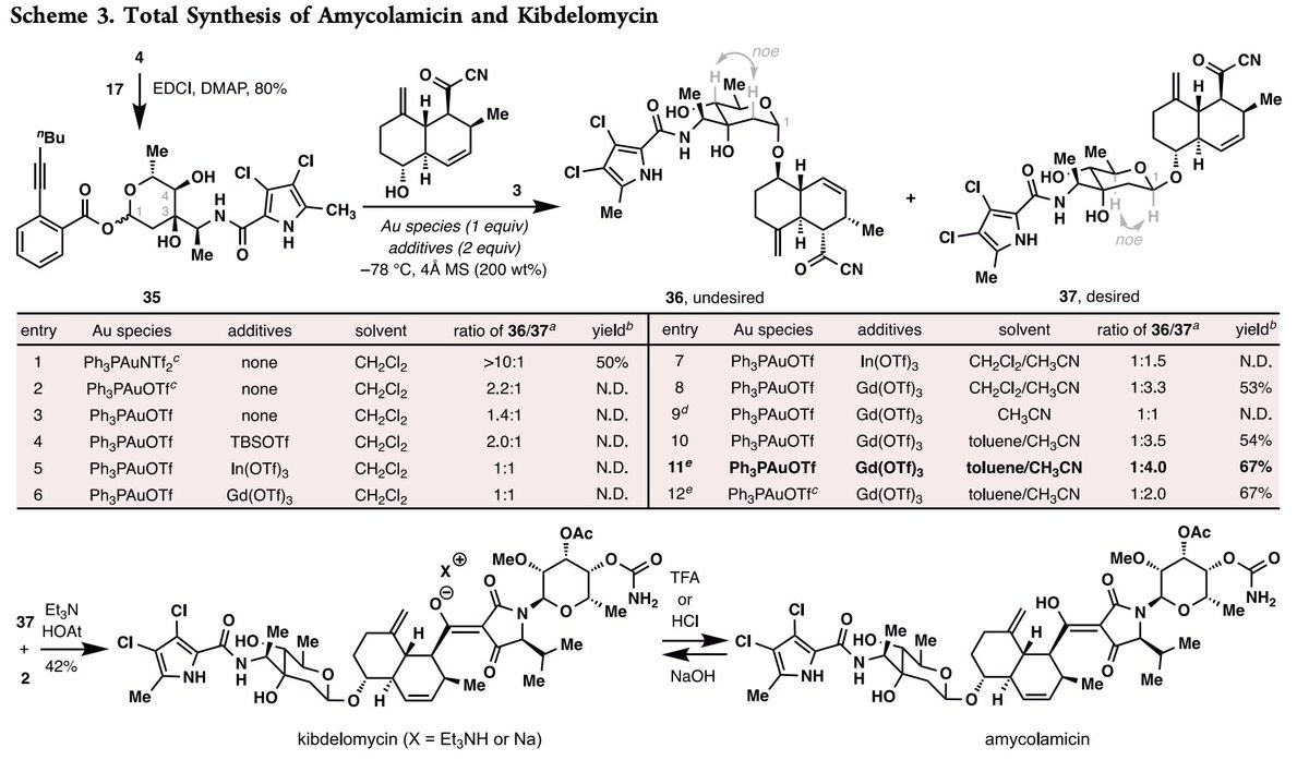 Total Synthesis (@totalsynthesis) on Twitter photo #TotalSynthesis of the Potent and Broad-Spectrum Antibiotics Amycolamicin and Kibdelomycin by Shaoqiang Yang, Chenglong Chen, Jie Chen, and Chao Li <a href="/LabChao/">Chao Li Lab</a> in <a href="/J_A_C_S/">J. Am. Chem. Soc.</a> pubs.acs.org/doi/10.1021/ja… #TotalSynthesis of the Potent and Broad-Spectrum Antibiotics Amycolamicin and Kibdelomycin by Shaoqiang Yang, Chenglong Chen, Jie Chen, and Chao Li <a href="/LabChao/">Chao Li Lab</a> in <a href="/J_A_C_S/">J. Am. Chem. Soc.</a> pubs.acs.org/doi/10.1021/ja…