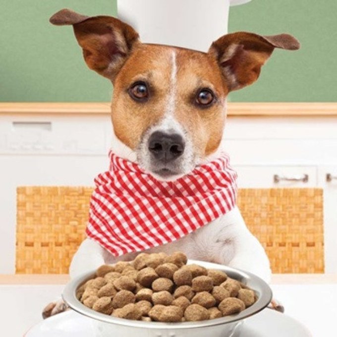 Buy Food For My Dog by @Wendyrestrepo33 https://t.co/ZMdJvpYKc2 Find it on #ManyVids! https://t.co/g<a class="tags" href="/tag/wendyrestrepo33">@wendyrestrepo33</a><a href="/tag/manyvids"class="tags"><span>#manyvids</span></a>