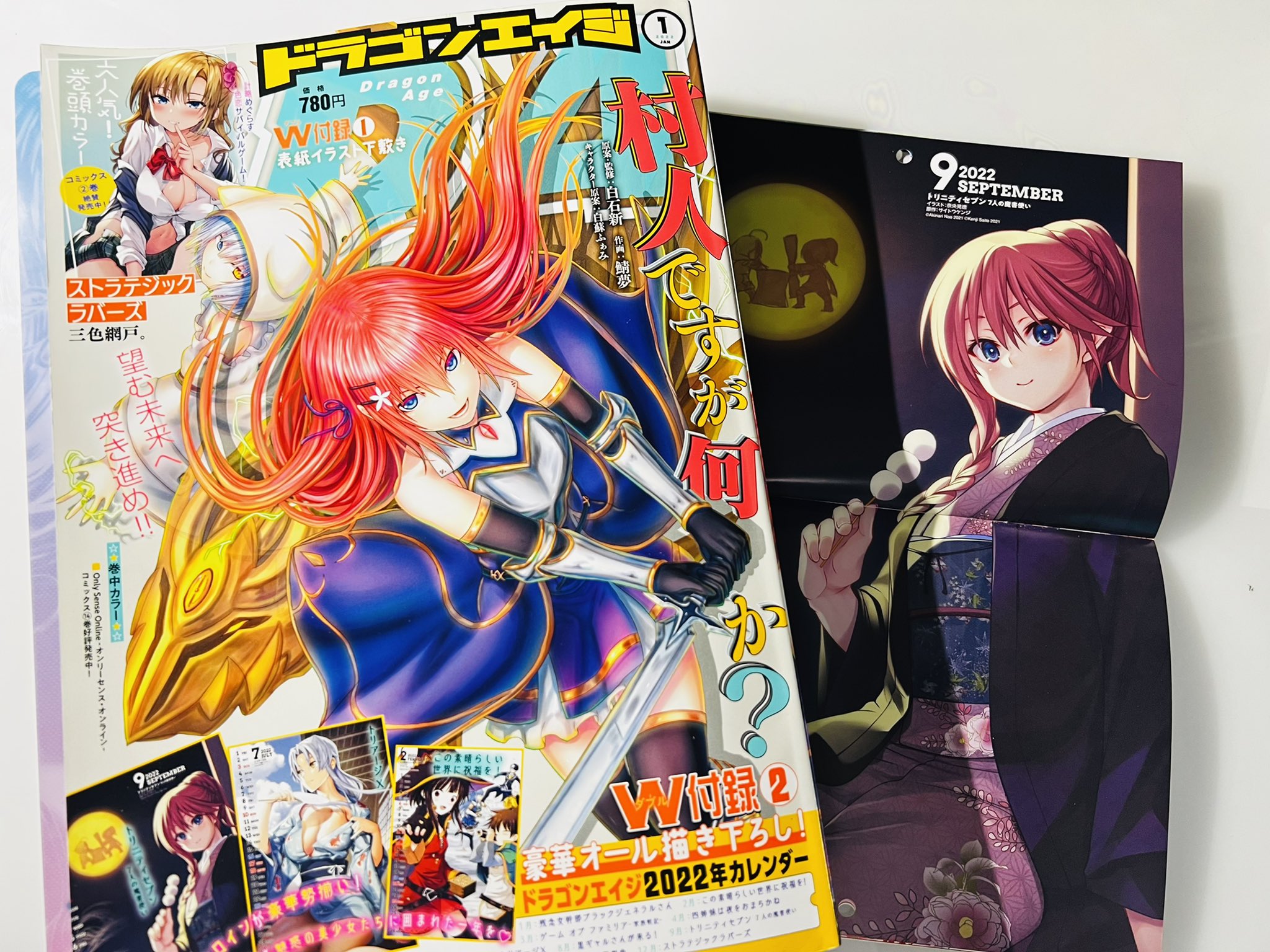 大特価放出！ 冊子 高評価！ ドラゴンエイジ 青年 トリニティセブン 追録の書 青年