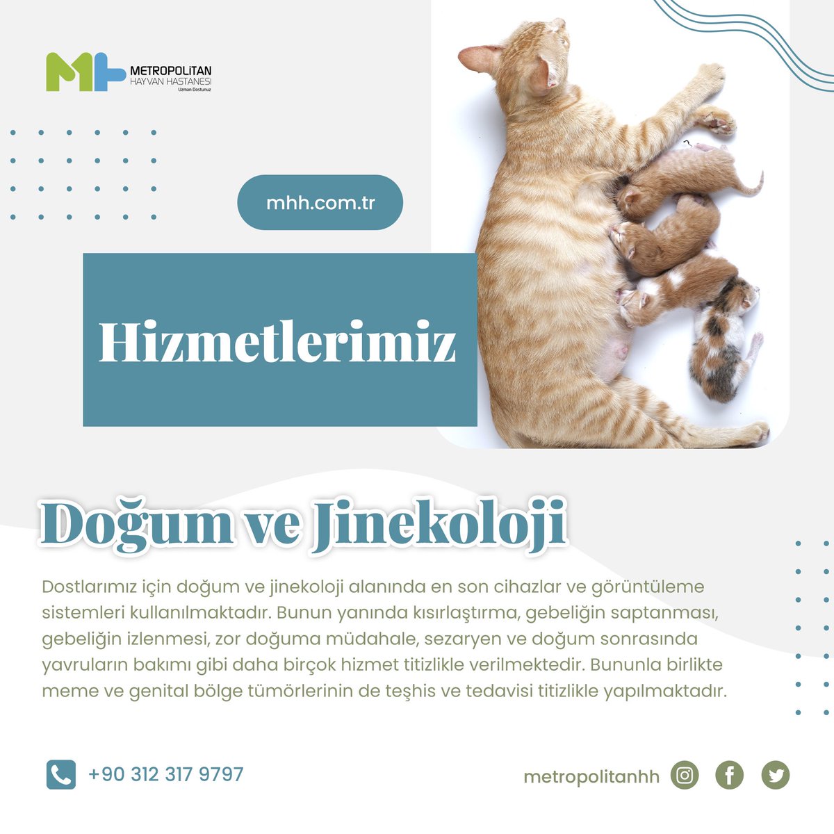 metropolitanhh's tweet photo. Doğum ve jinekoloji alanında en son cihazlar ve görüntüleme sistemleri kullanılmaktadır. Bunun yanında kısırlaştırma, gebeliğin saptanması, gebeliğin izlenmesi, zor doğuma müdahale, sezaryen ve doğum sonrasında yavruların bakımı gibi daha birçok hizmet titizlikle verilmektedir. https://t.co/uJ9CkI5mSt
