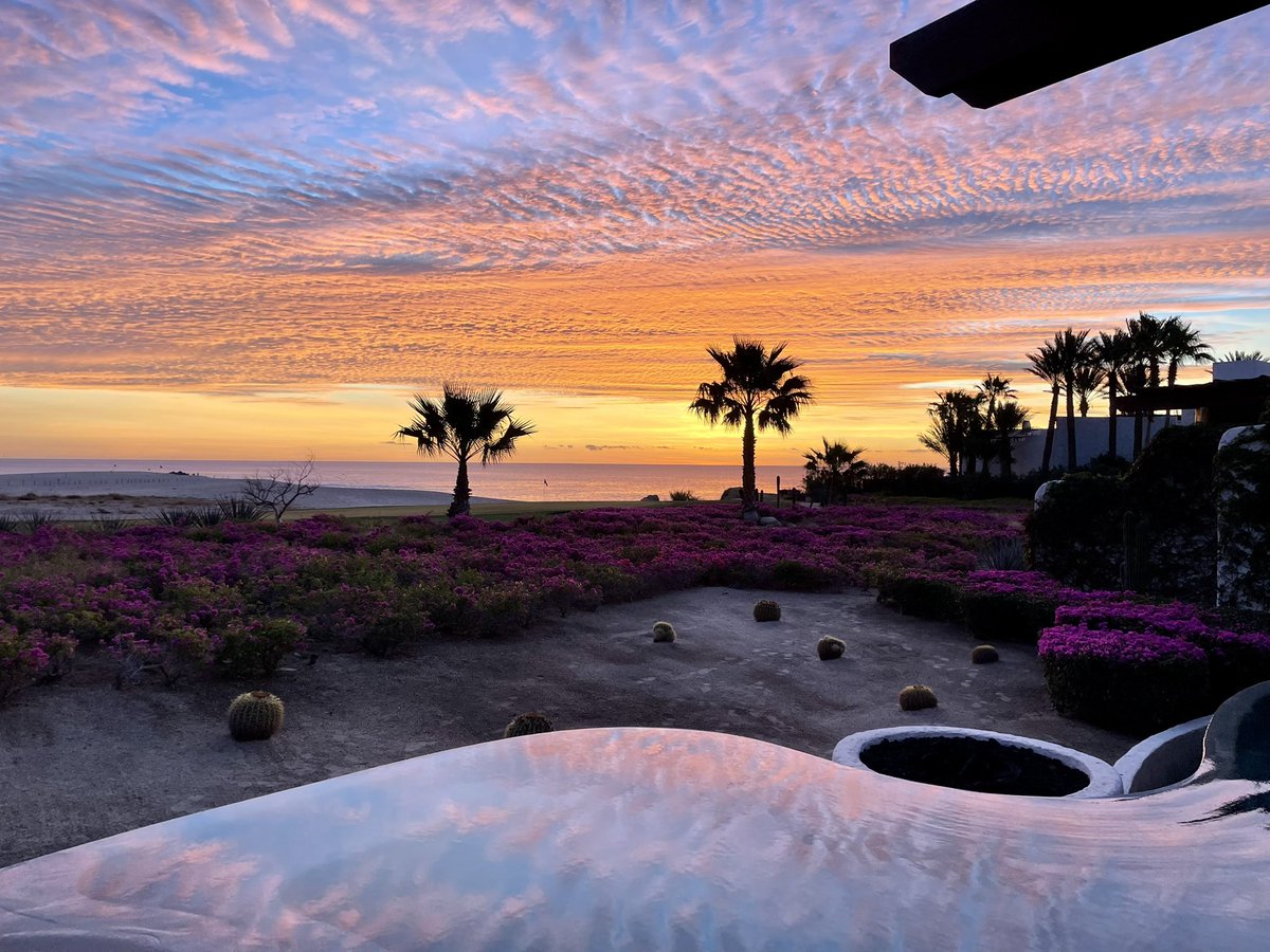 Chris Stock tweet media