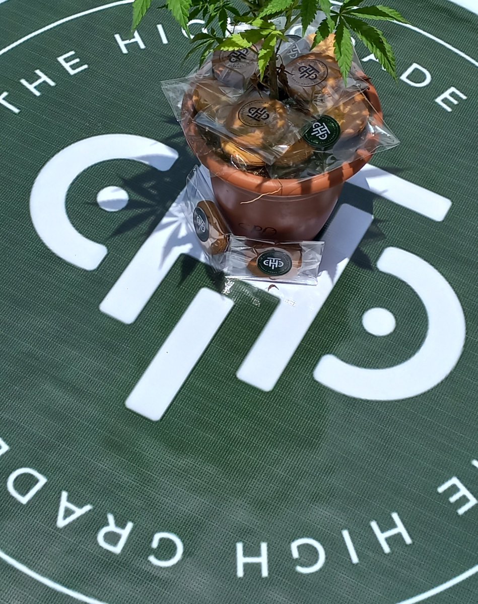 THC_Chef tweet picture