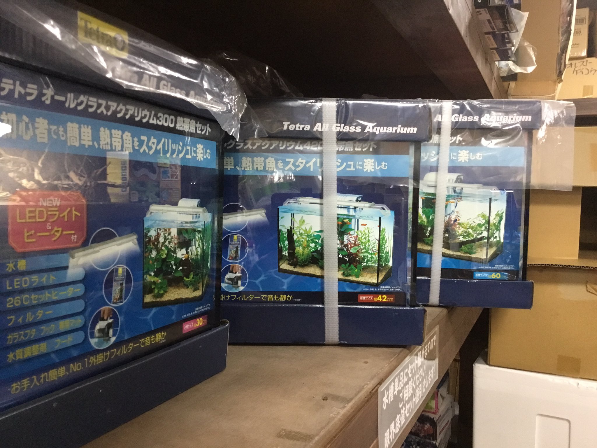 アクアモンスター 限界大特価サービス品 テトラスリム 水槽 Led ヒーター セット 300 4 600 レグラス450r ワンタッチフィルター Ledライト オリジナルセット 切り株流木 レッドウッド流木 沢山来てます 入荷は稀ですので 早目にどうぞ