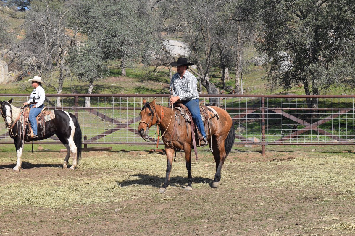 Taeber Nylander tweet media