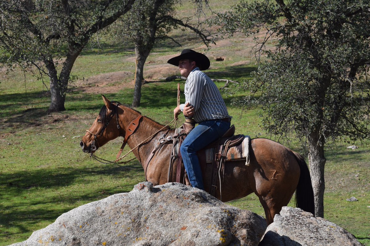 Taeber Nylander tweet media