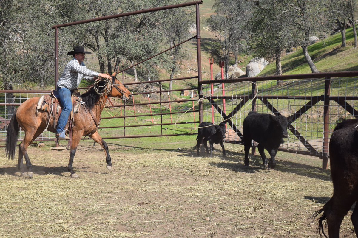 Taeber Nylander tweet media