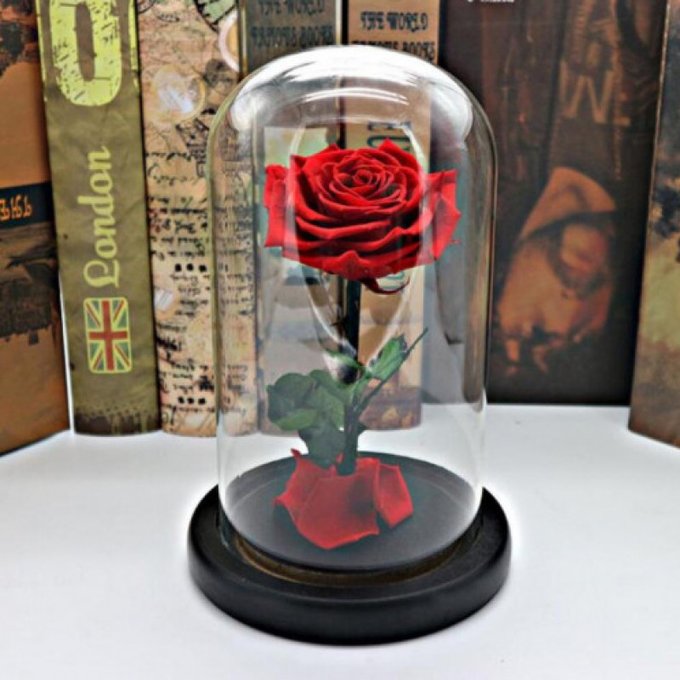 Buy me Flowers by @Wendyrestrepo33 https://t.co/2Tk8bBkRAz Find it on #ManyVids! https://t.co/2Lp8eC<a class="tags" href="/tag/wendyrestrepo33">@wendyrestrepo33</a><a href="/tag/manyvids"class="tags"><span>#manyvids</span></a>