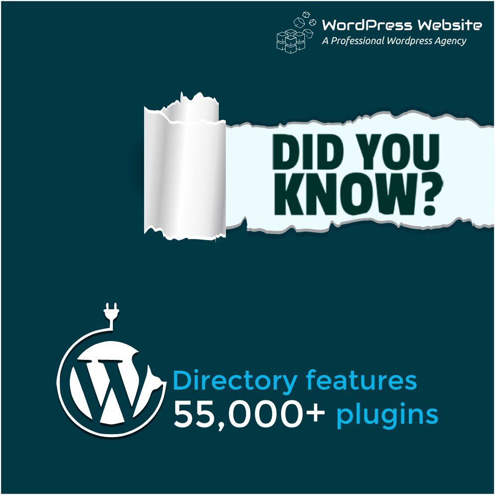 Wordpress_Webs's tweet image. Did you know? WordPress directory contains a vast number of plugins that you can use for adding multiple functionalities in your website and making it stand out from the competition. 

#WordPressWebsite #WordPressPlugins #WordPressDirectory #WPPlugins #WordPressFacts