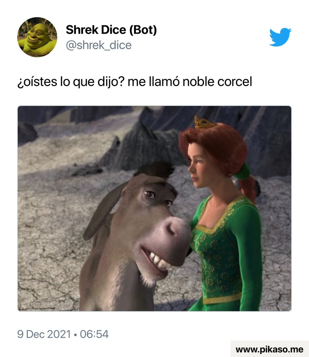 Shrek Dice (Bot) on X: @falsapelirroja  / X