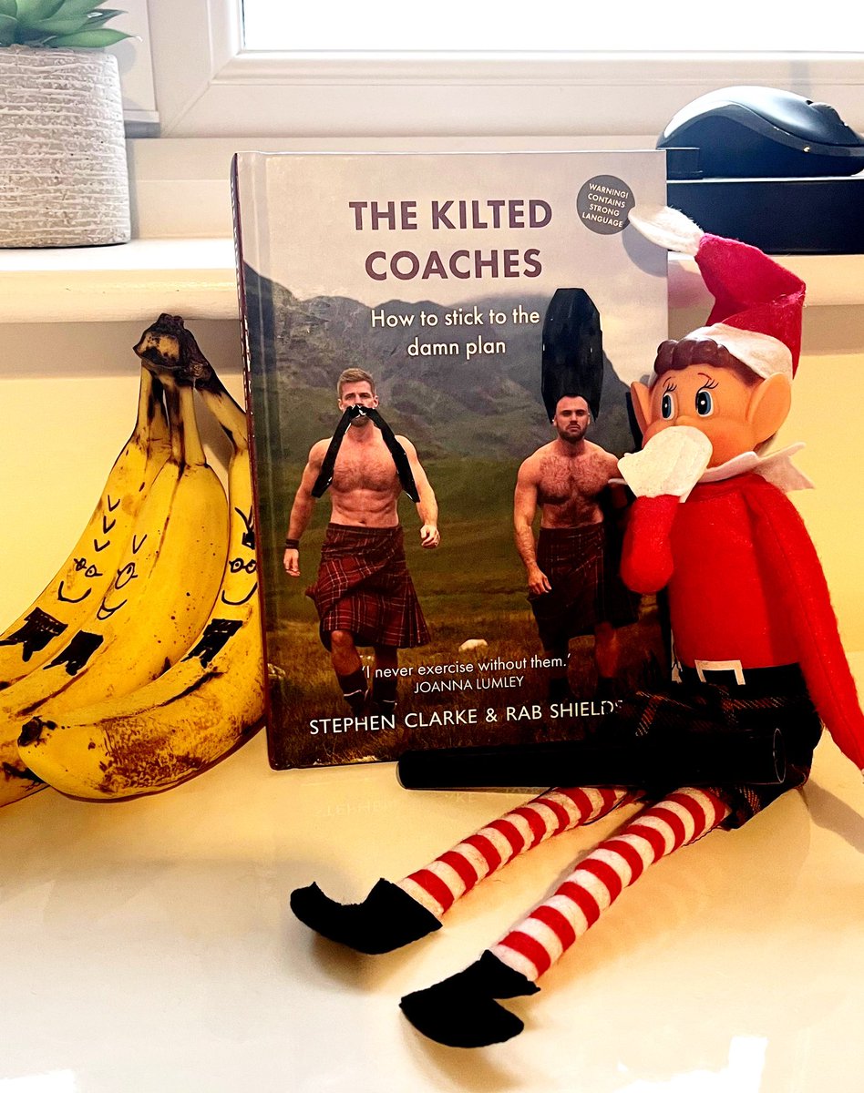 Artistic Elf today… #elfontheshelf #naughtyelf #book #booktwt linktr.ee/Thekiltedcoach… #howtosticktothedamnplan
