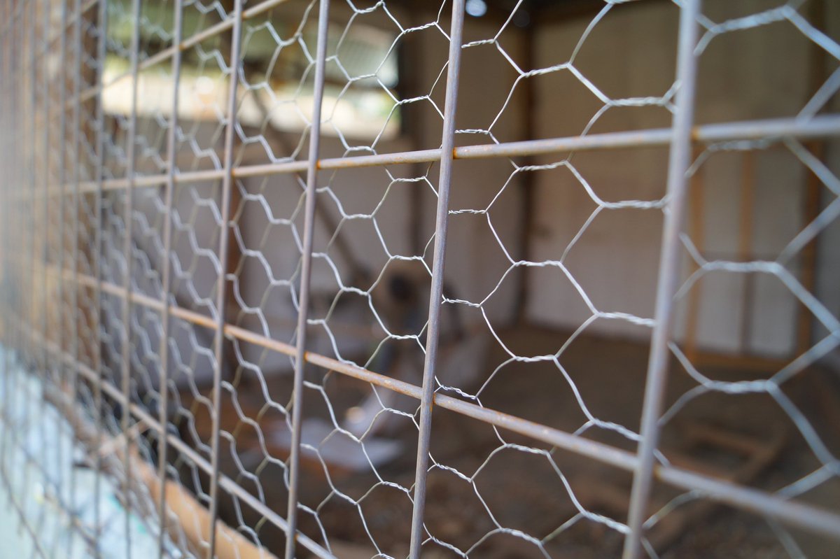 rhootsconcepts's tweet image. REPURPOSE PROJECT 1: Status Update 

We have been hard at work and the first wing of the Chicken Coop is almost complete.

#repurposeproject 
#rhootskraft
#rhootsconcepts
#design #solutions #ecosystems
#infrastructure