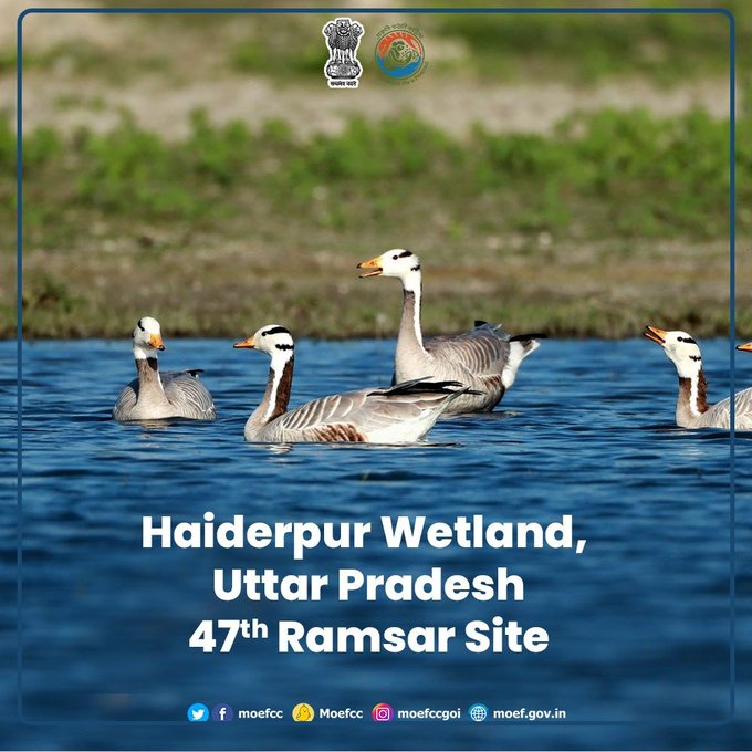 Haiderpur Wetland