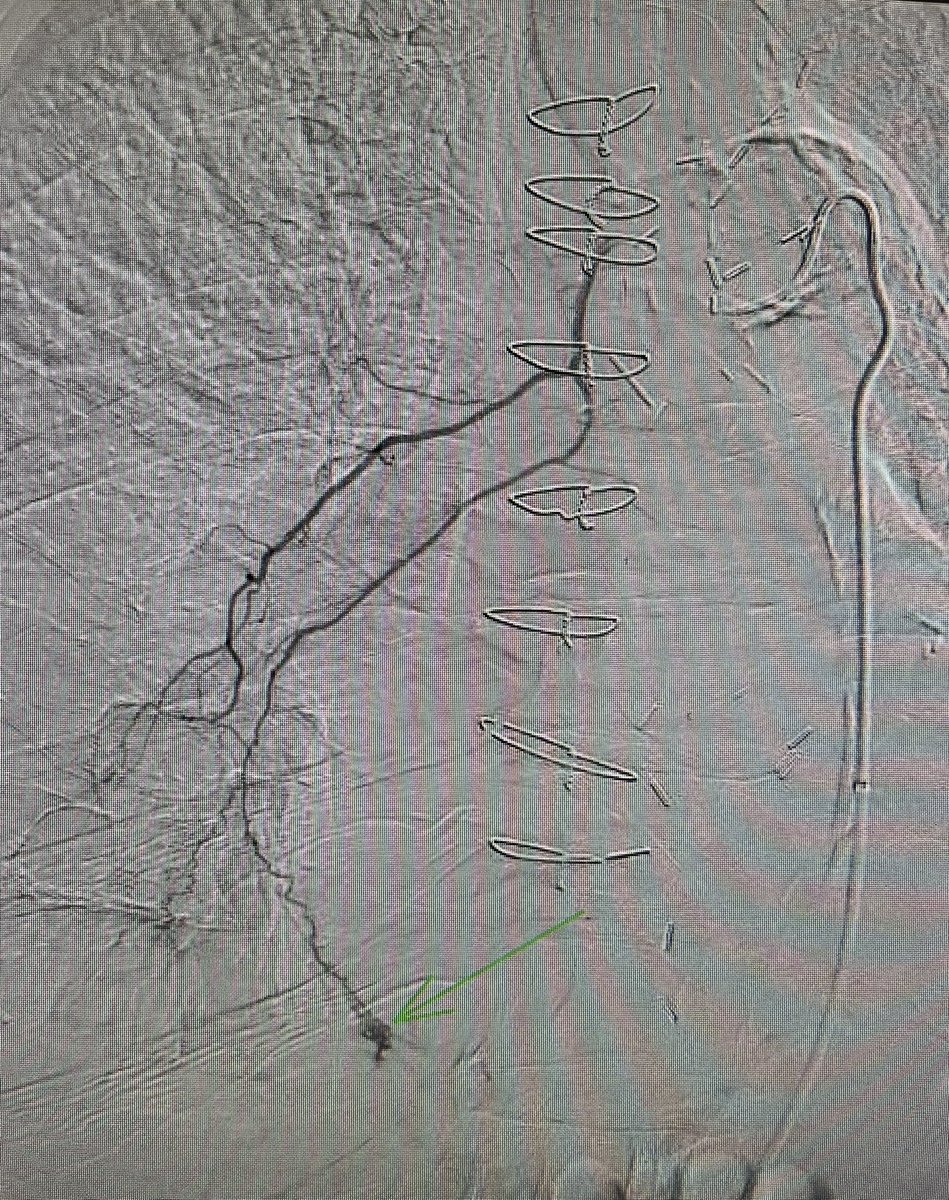 Brian Park MD, MS, CIIP tweet media