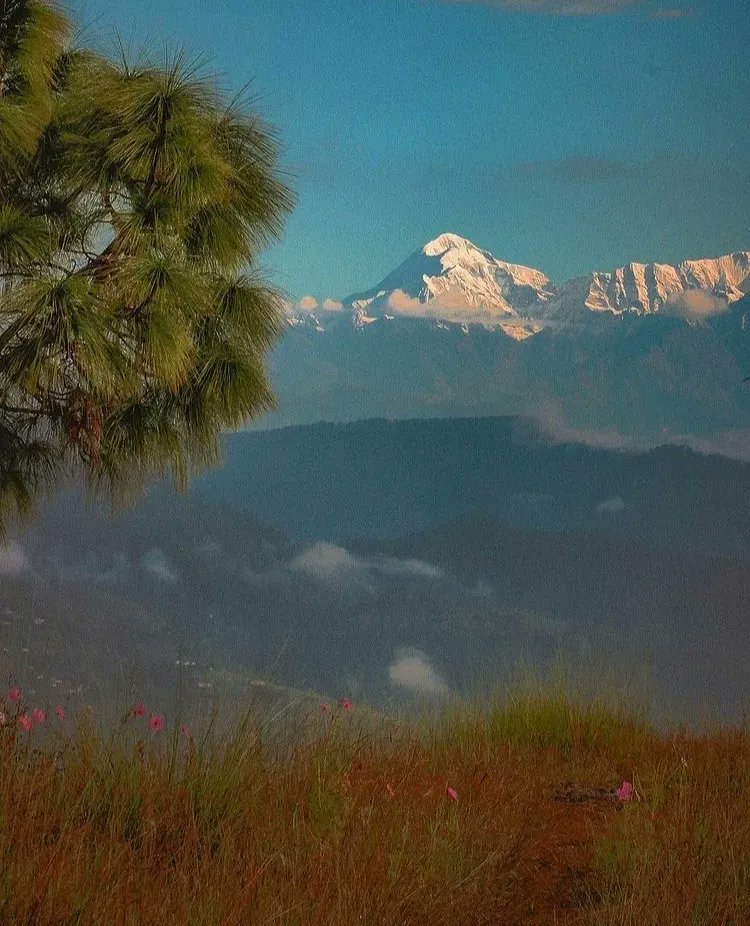 thehosteller's tweet image. Snow capped mountain views from everywhere making you feel like you stepped into a fairytale ❄️

Check in with us at Kasar Devi and watch you days turn magical ✨

#kasar #kasardevi #almora #uttarakhanddiaries #hillstationsofindia #TheHosteller #GetUpGo #backpackinginindia