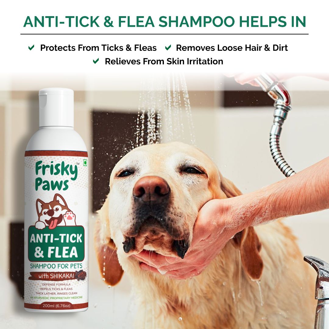 🐾Frisky Paws Anti-Tick & Flea ⚡

👉This waterless shampoo offers a stress and mess-free way to keep your pet clean.☑

✅Safe for everyday use.💯

#dogshampoo #cat #anti_tick #natural #pets #infections  #petscare #doghealer #catshealer #bacteriafree #infectionfree #RRRTrailer