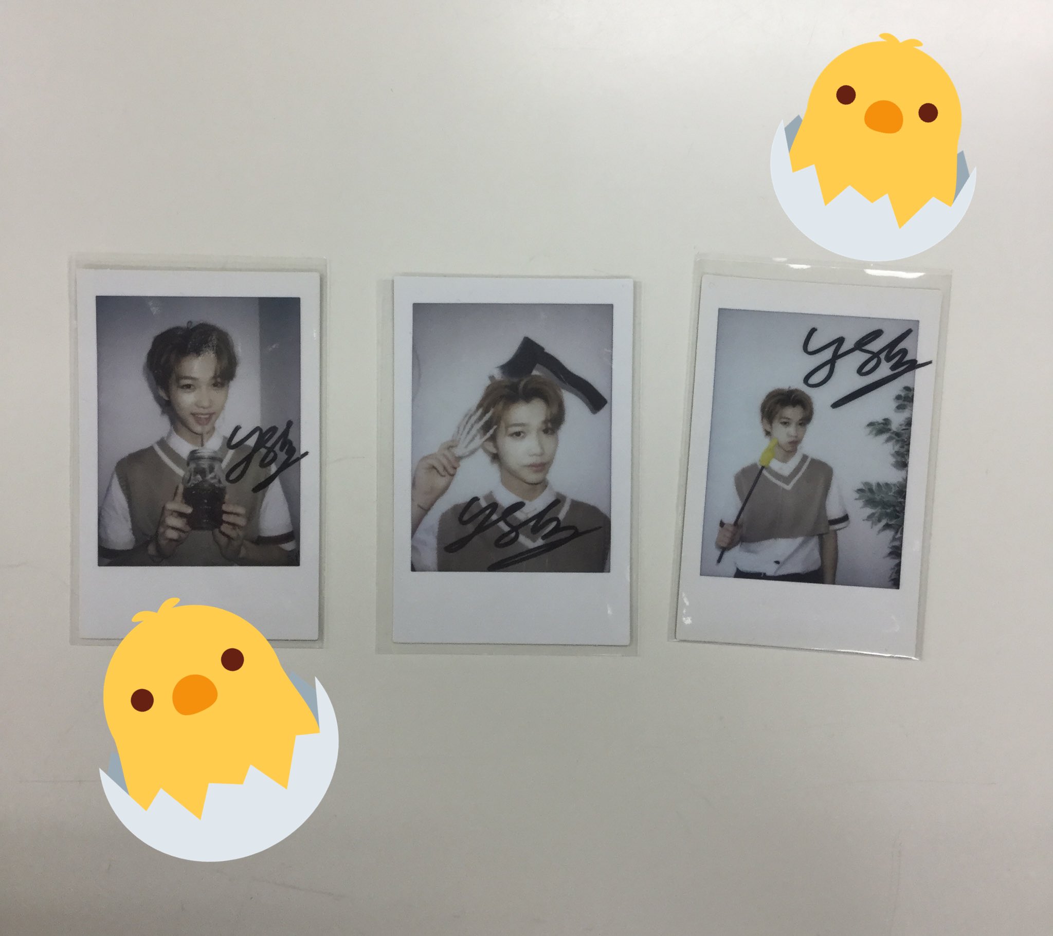 選べる配送時期 Stray Kids スキズ リノ ショーケース ポラロイド